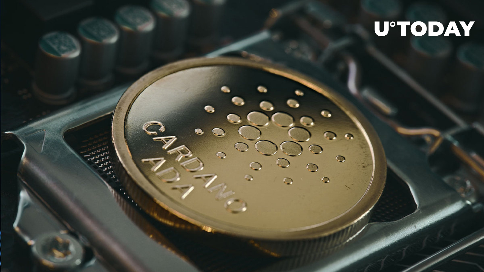 Cardano Added 50K New Wallets YTD, Is ADA Price Set to Take Off